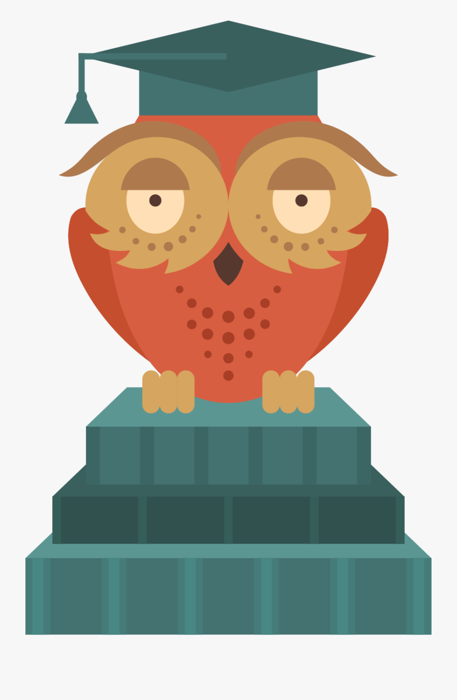 Owl, Transparent Clipart