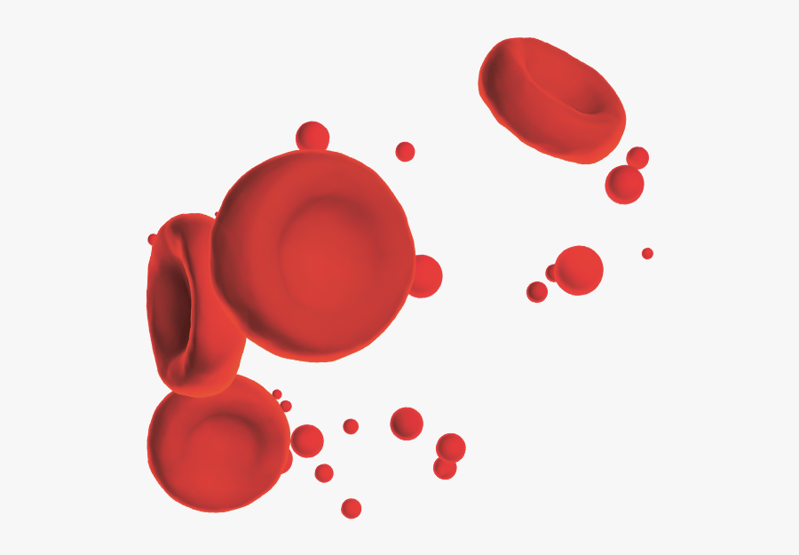 A Finger Scanner, Which Is Connected To A Smartphone, - Circle, Transparent Clipart