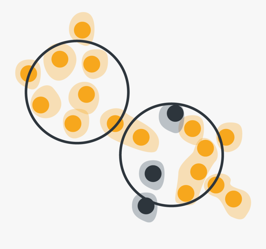 Mcb Laboratory Cell Culture Training, Transparent Clipart