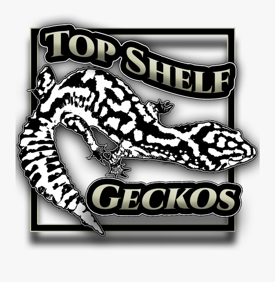 Transparent Boa Constrictor Clipart - Illustration, Transparent Clipart