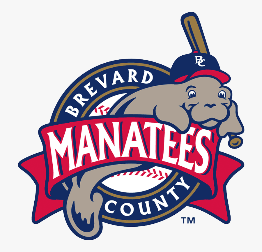 Brevard County Manatees, Transparent Clipart