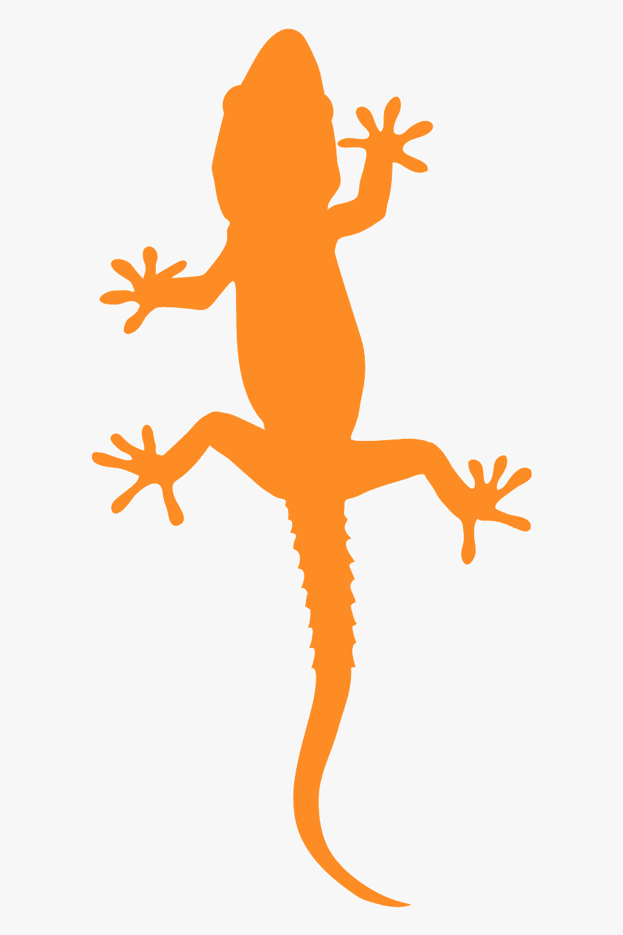True Frog, Transparent Clipart