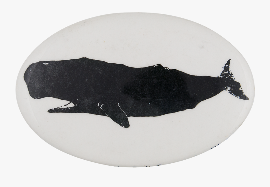 Greenpeace Sperm Whale - Killer Whale, Transparent Clipart