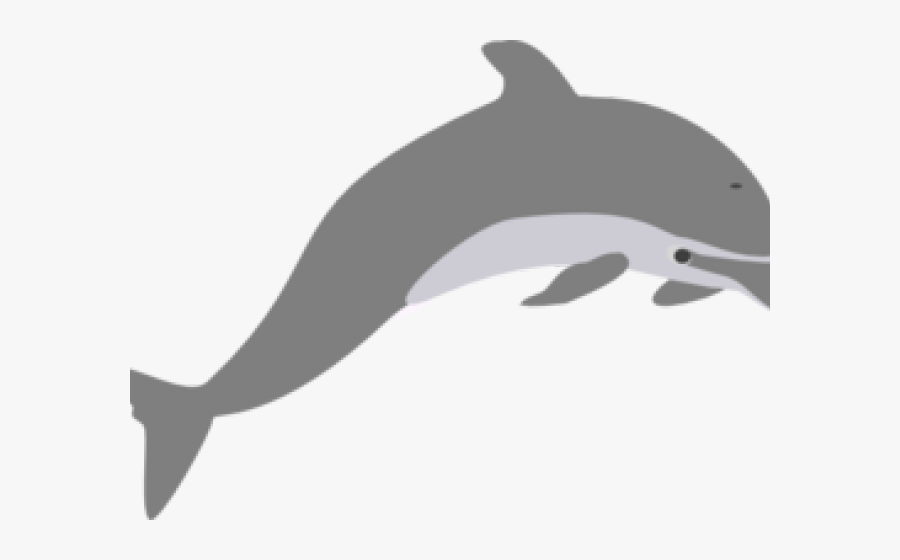 Short-beaked Common Dolphin, Transparent Clipart