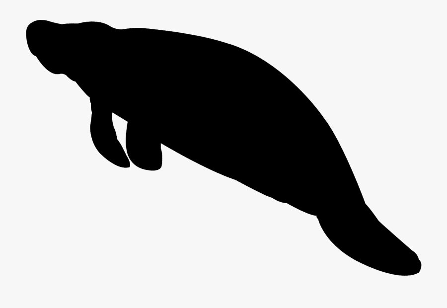 Manatee Silhouette, Transparent Clipart