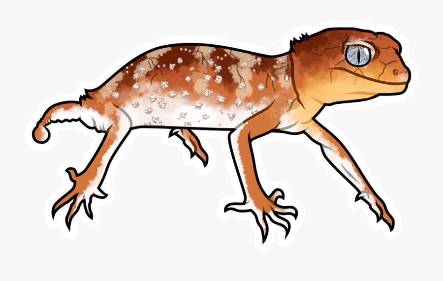 Anole, Transparent Clipart
