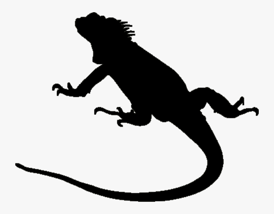 Iguana At Getdrawings Com - Iguana Silhouette Png, Transparent Clipart