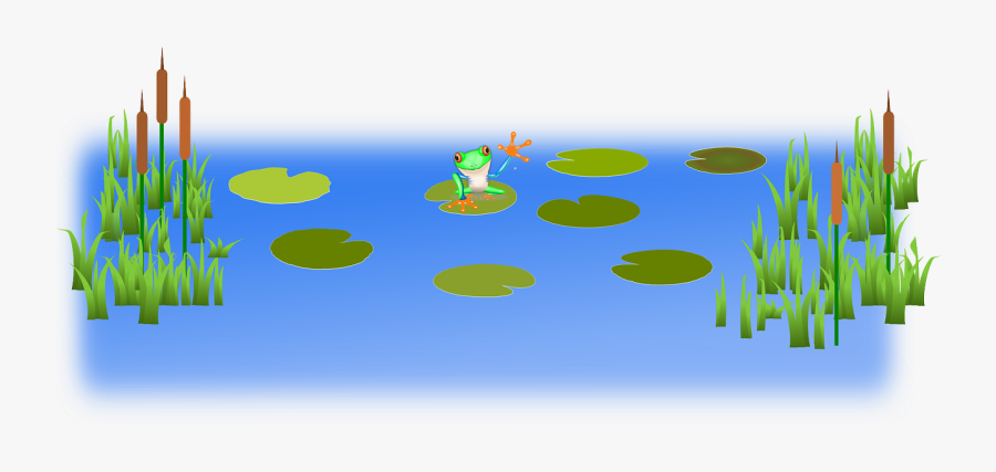 Pond Clipart Birds Eye View - Frog Hom Clip Art, Transparent Clipart