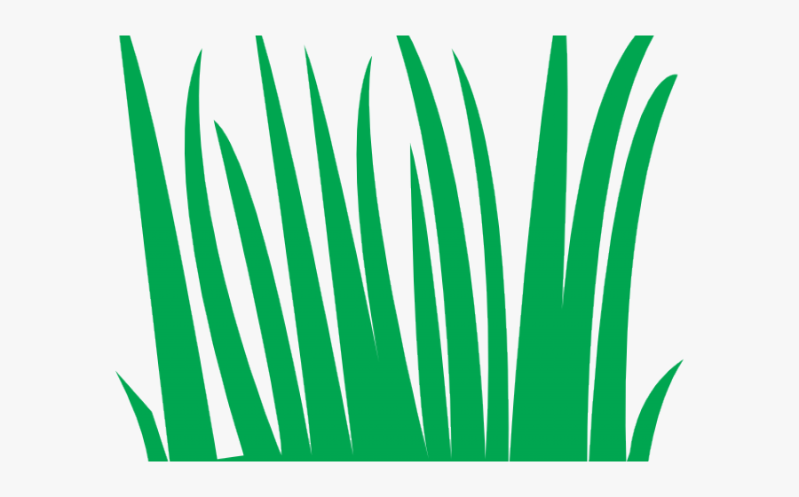 Swamp Clipart Grass Field - Rumput Animasi, Transparent Clipart