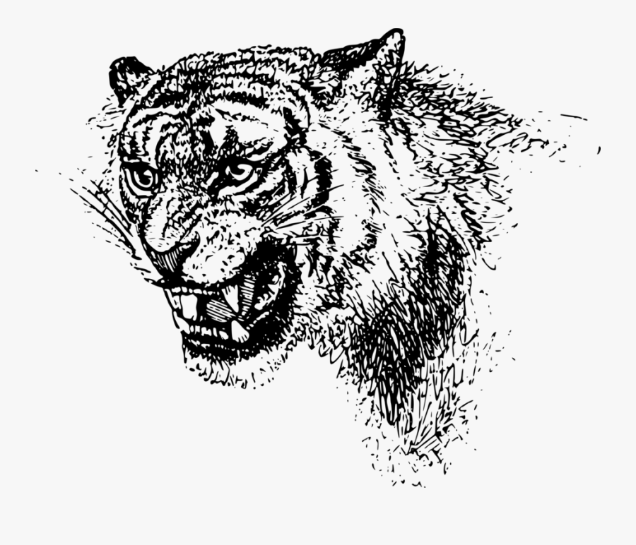 Art,monochrome Photography,carnivoran - Black Clip Art Tiger Free, Transparent Clipart
