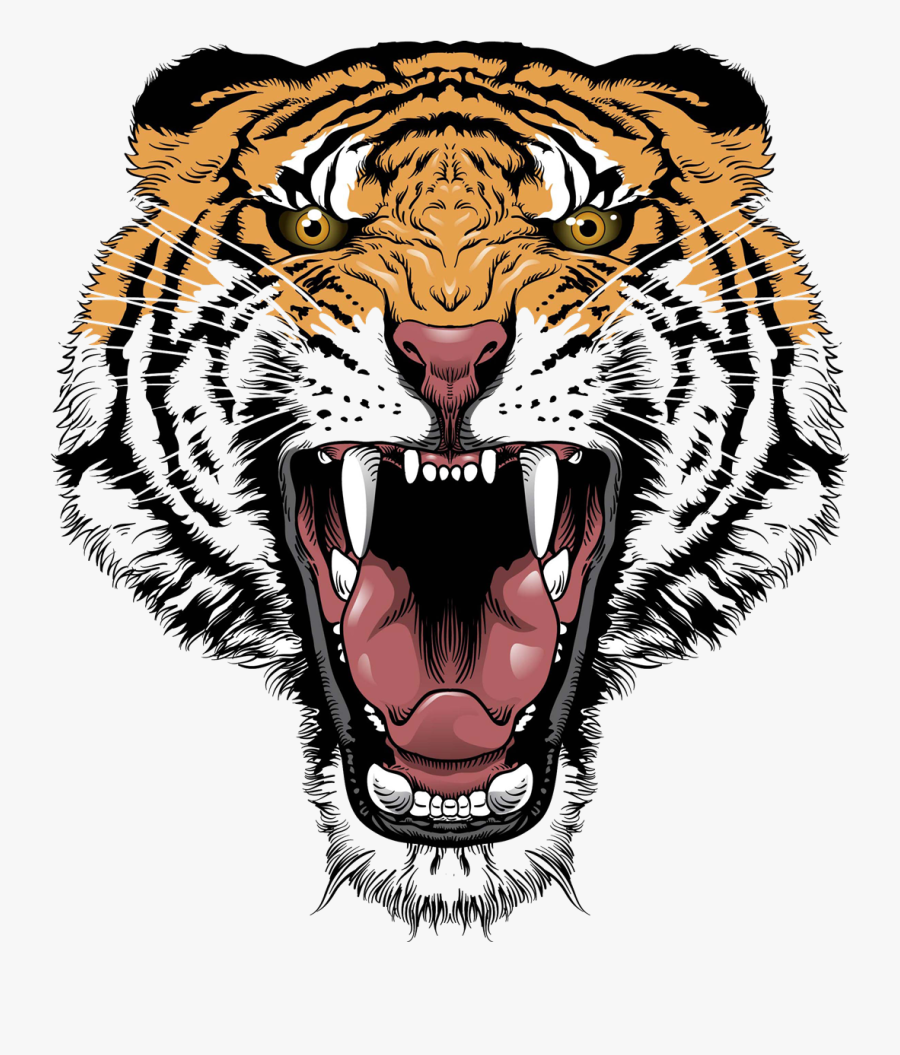Tiger Face Png Hd, Transparent Clipart