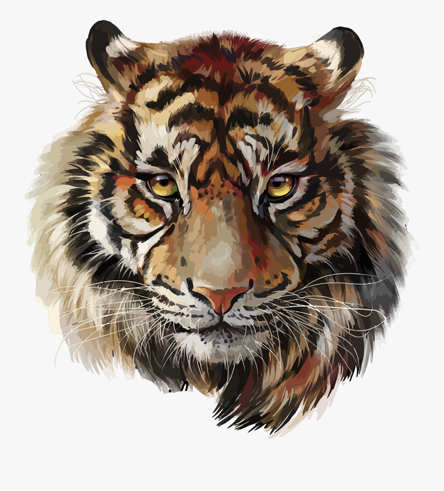 Tiger Head Png - Tiger Face Transparent Background, Transparent Clipart