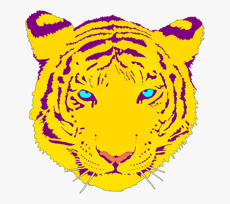 Tiger, Head, Portrait, Stare, Orange, Blue Eyes, Danger - Nokia C2 Clip Art, Transparent Clipart