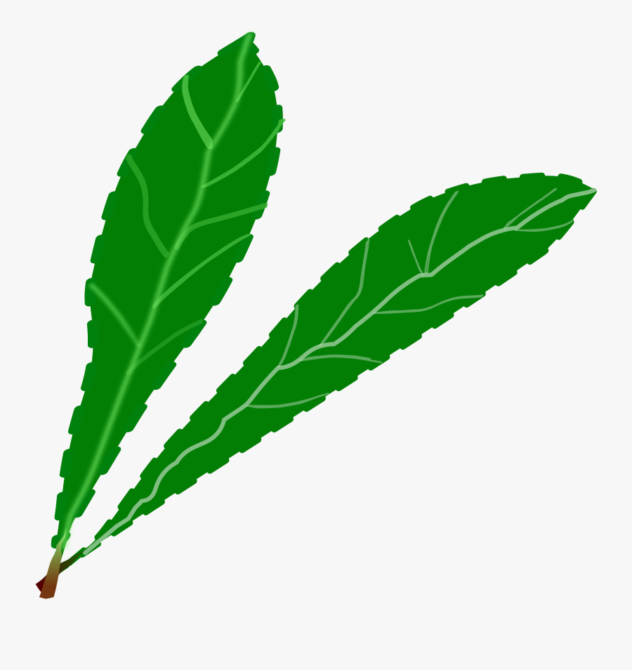 All Photo Png Clipart - Petalos Verde Png, Transparent Clipart