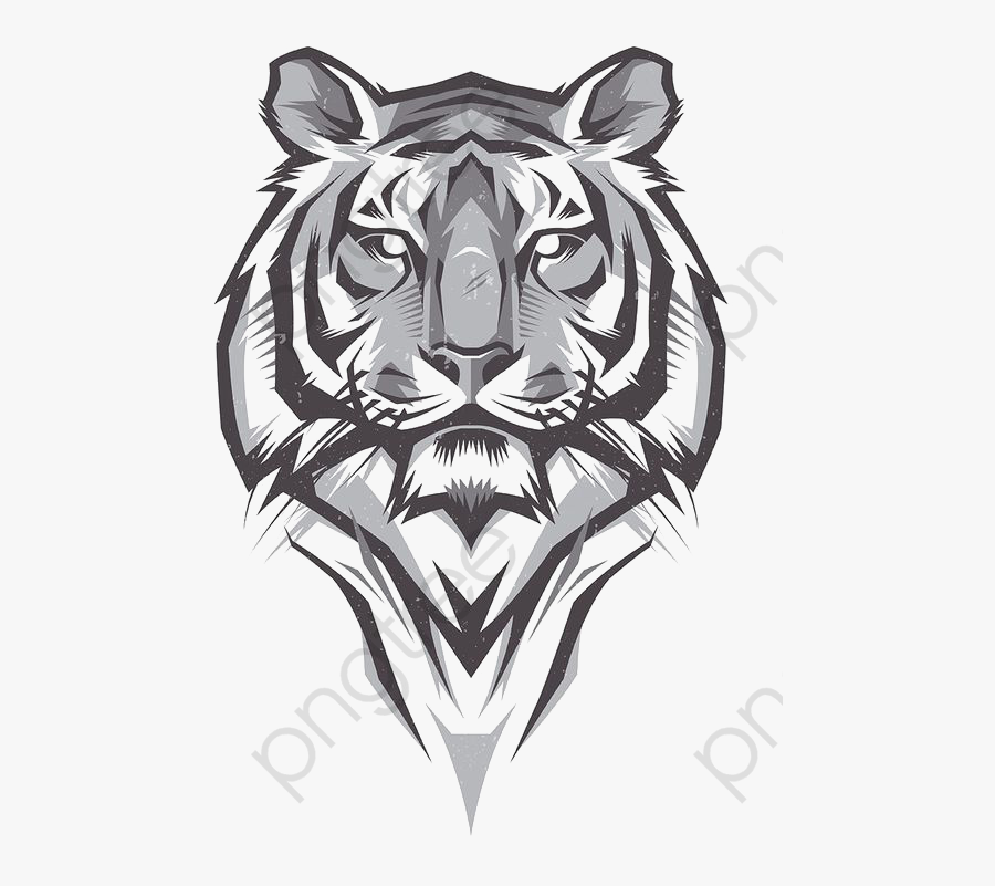 Tiger Head - Tiger Drawing, Transparent Clipart