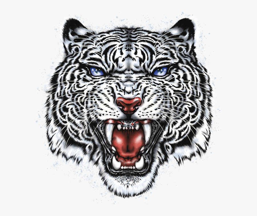 Tiger Head Png - White Tiger Head Png, Transparent Clipart