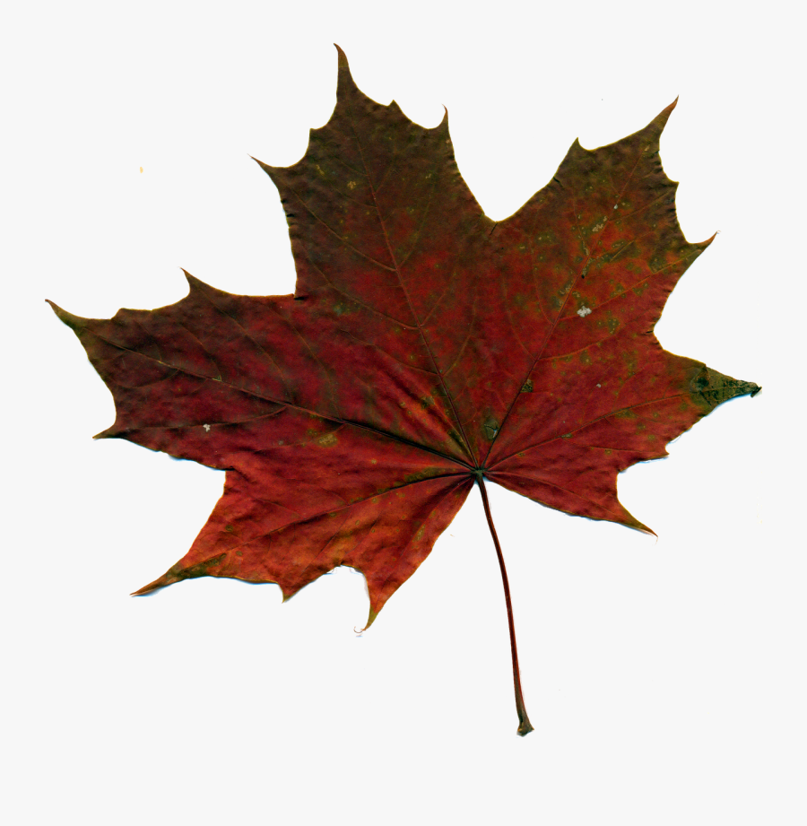 Autumn Sheet Png Clipart , Png Download - Kashmir Png, Transparent Clipart
