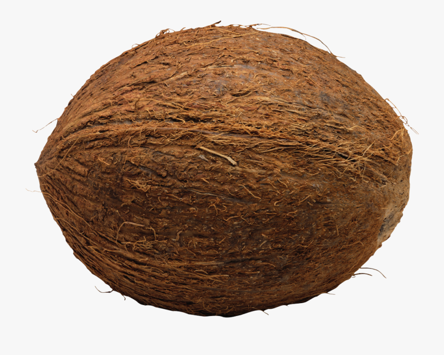 Coconut Transparent, Transparent Clipart