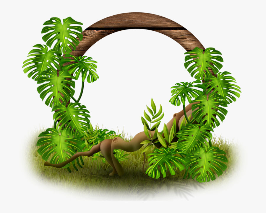 Picture Frame Decor, Framed Art, Image, Scrapbook, - Tropical Frame Png, Transparent Clipart