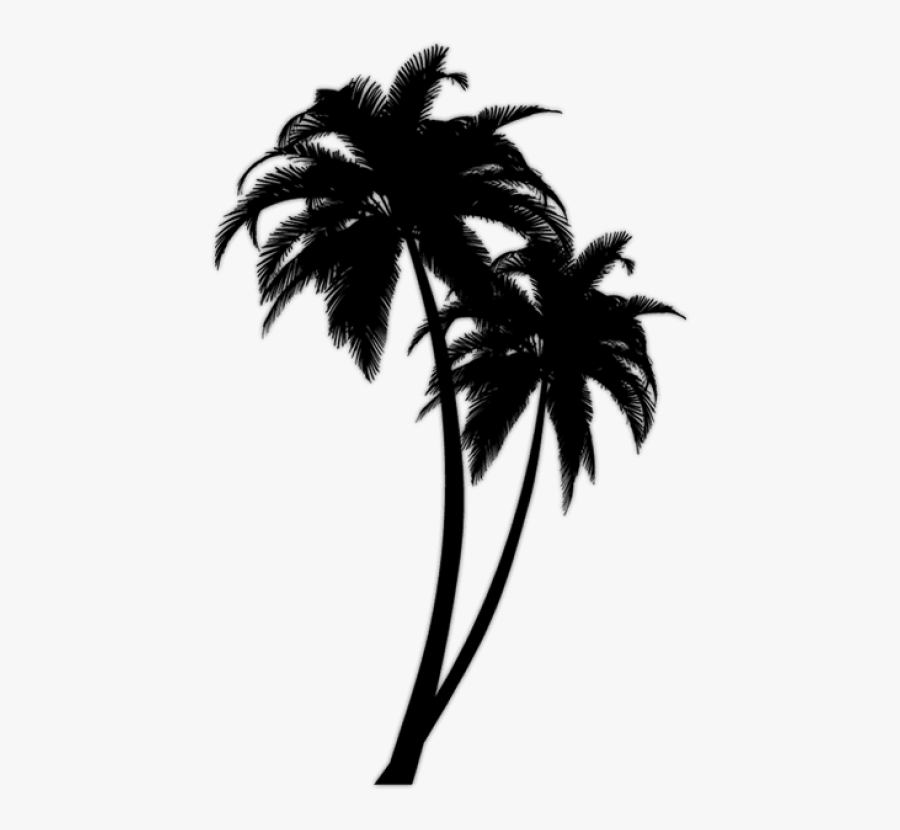 Free Png Download Black Palm Tree Png Images Background - Palm Tree Black Png, Transparent Clipart