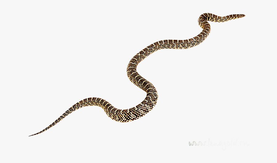 Rattlesnake Black Mamba Vipers Clip Art - Black Mamba Rattlesnake, Transparent Clipart