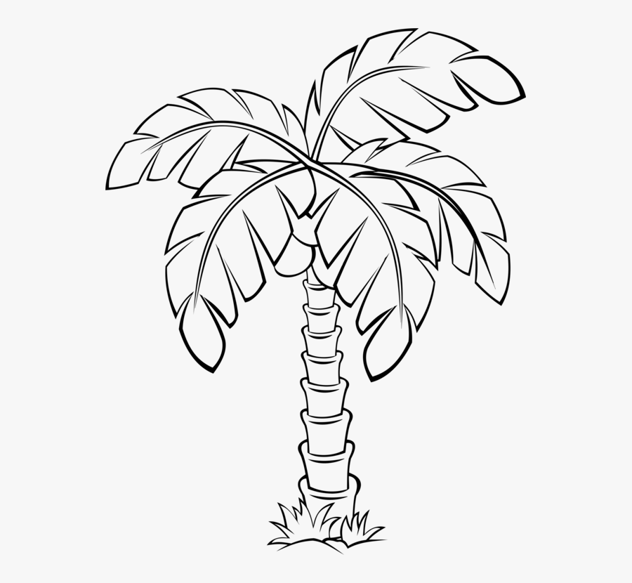 Line Art,plant,flower - Palm Tree Outline Clipart, Transparent Clipart