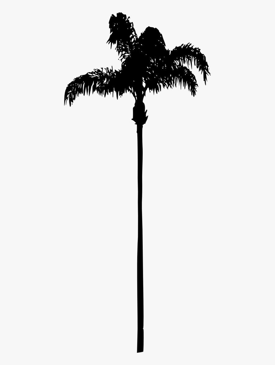 Palm Tree Png - White Palm Tree Transparent Background, Transparent Clipart