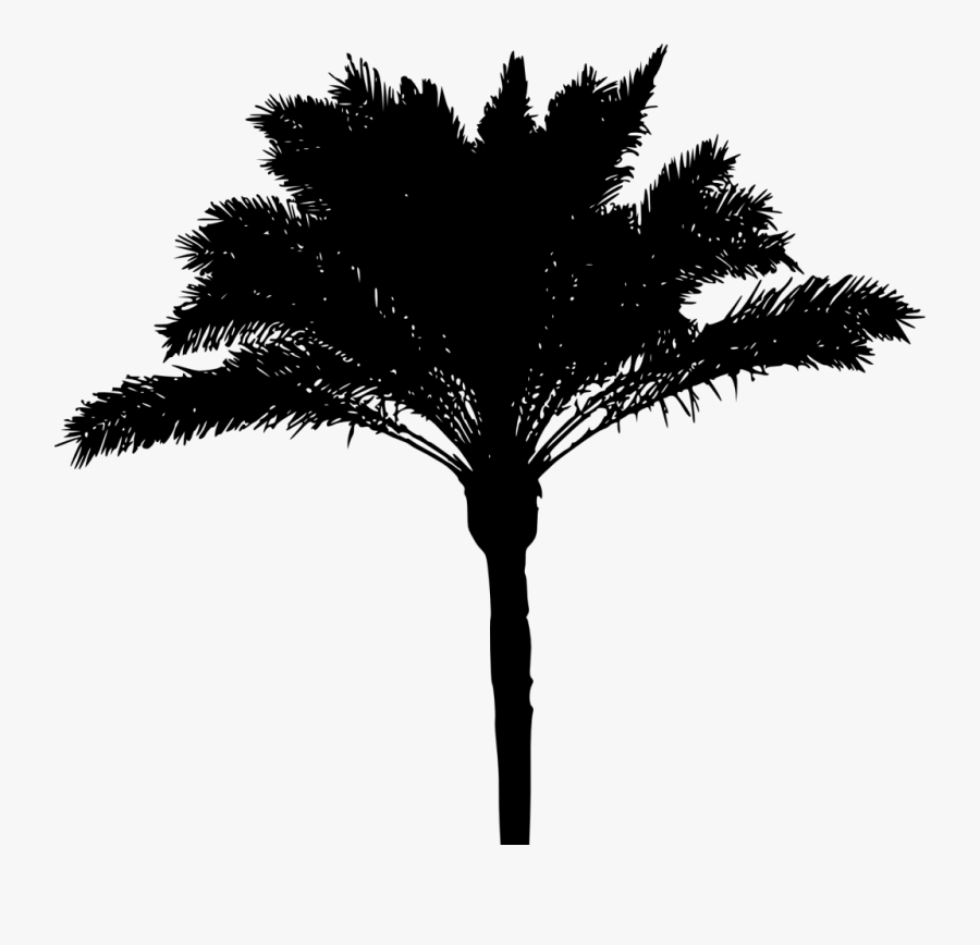 Transparent Palm Trees Clipart Black And White - Palm Tree Png Silhouette Garden, Transparent Clipart