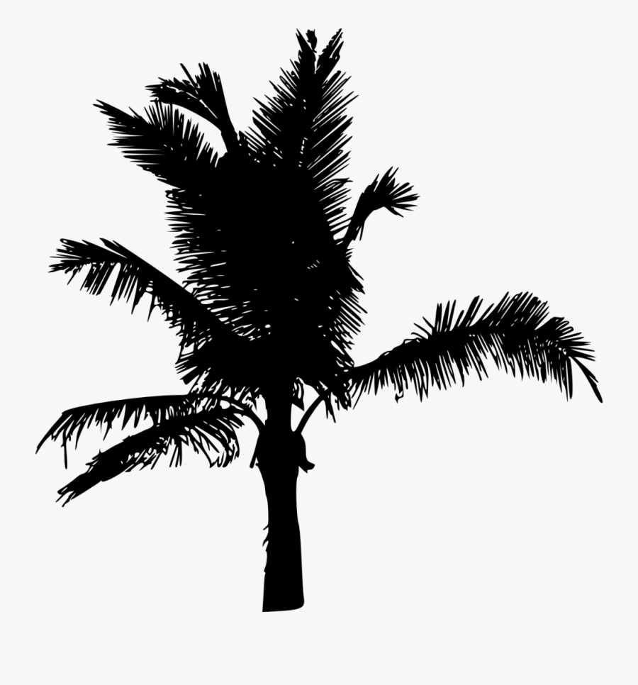 Tree Clipart V Shaped - Roystonea, Transparent Clipart