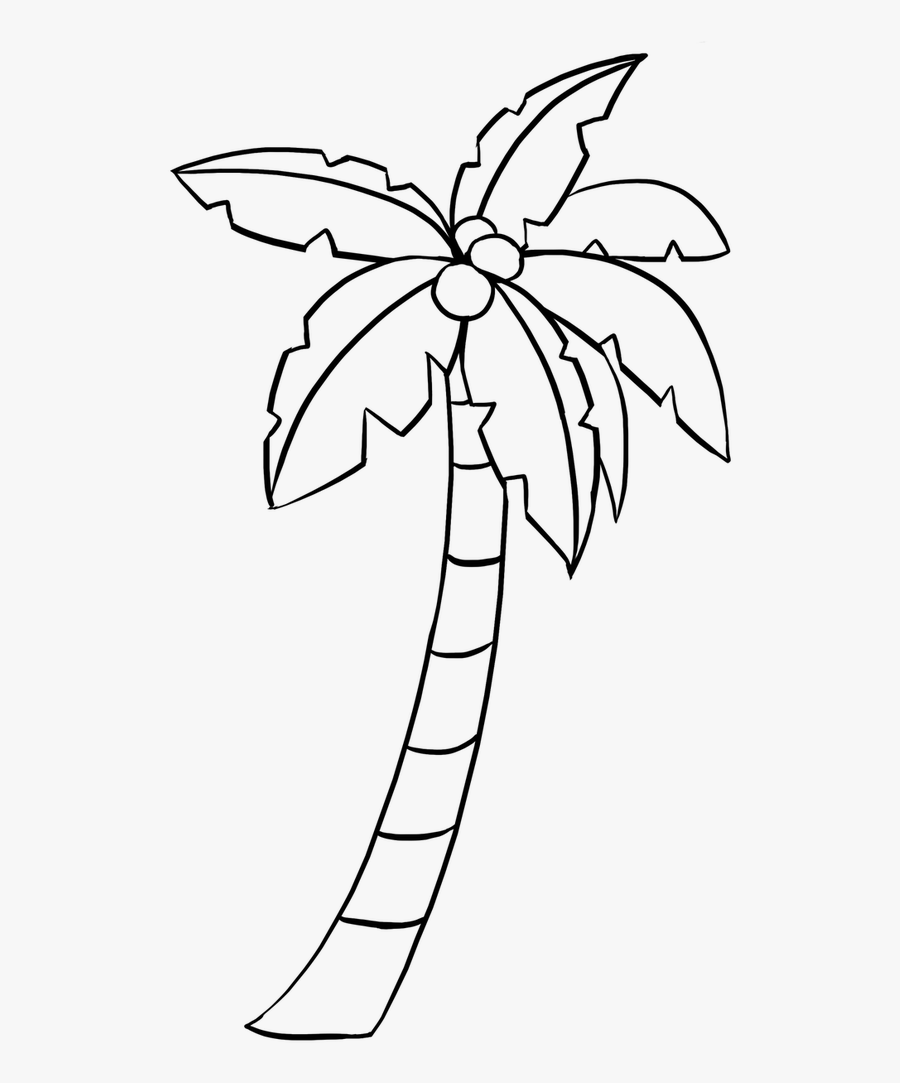 Palm Tree Drawing, Transparent Clipart
