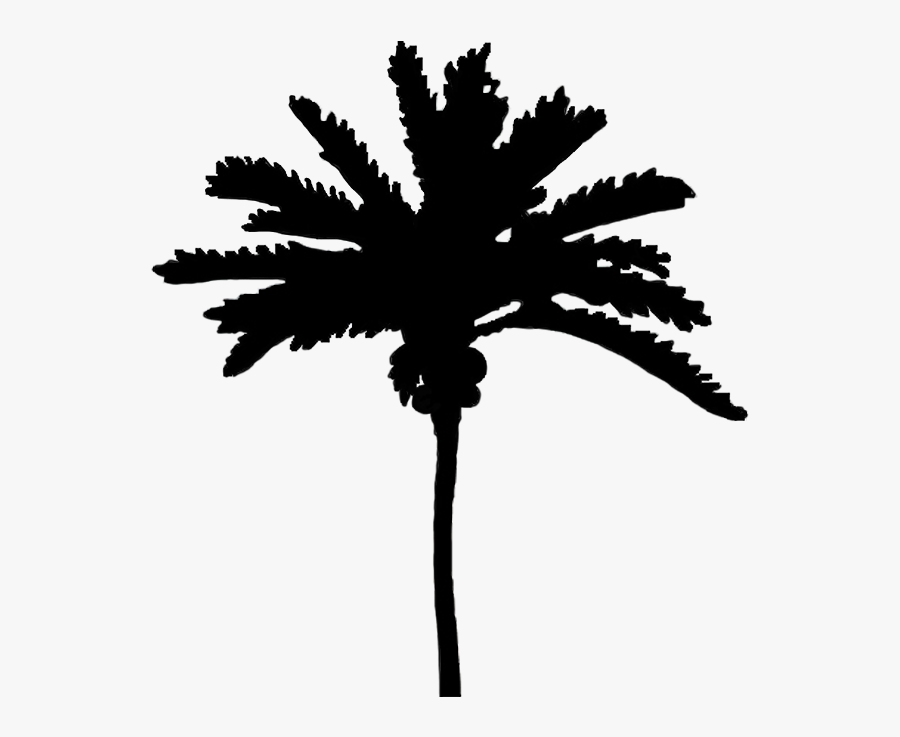 Palm Tree Silhouette - Palm Trees, Transparent Clipart