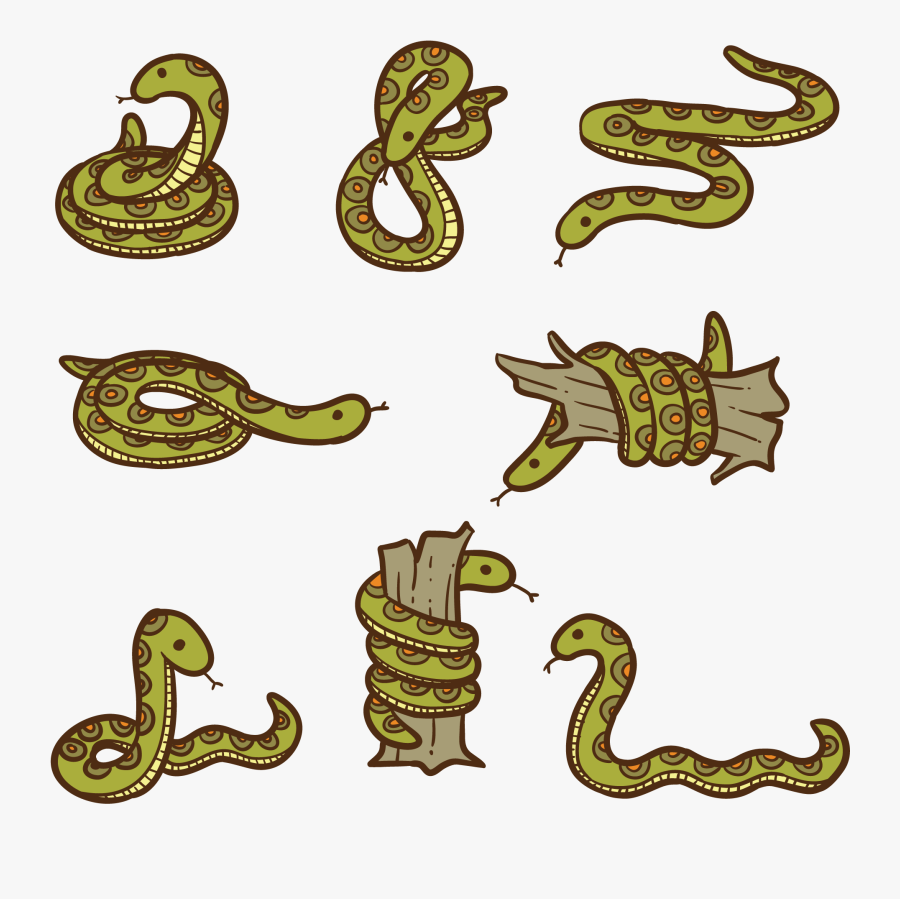 Anaconda Cartoon Vector - Dibujos De Una Anaconda, Transparent Clipart
