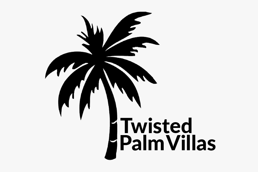 We Buy Sea Side And Start Drawing Twisted Palm Villas - White Palm Tree On Transparent Background, Transparent Clipart