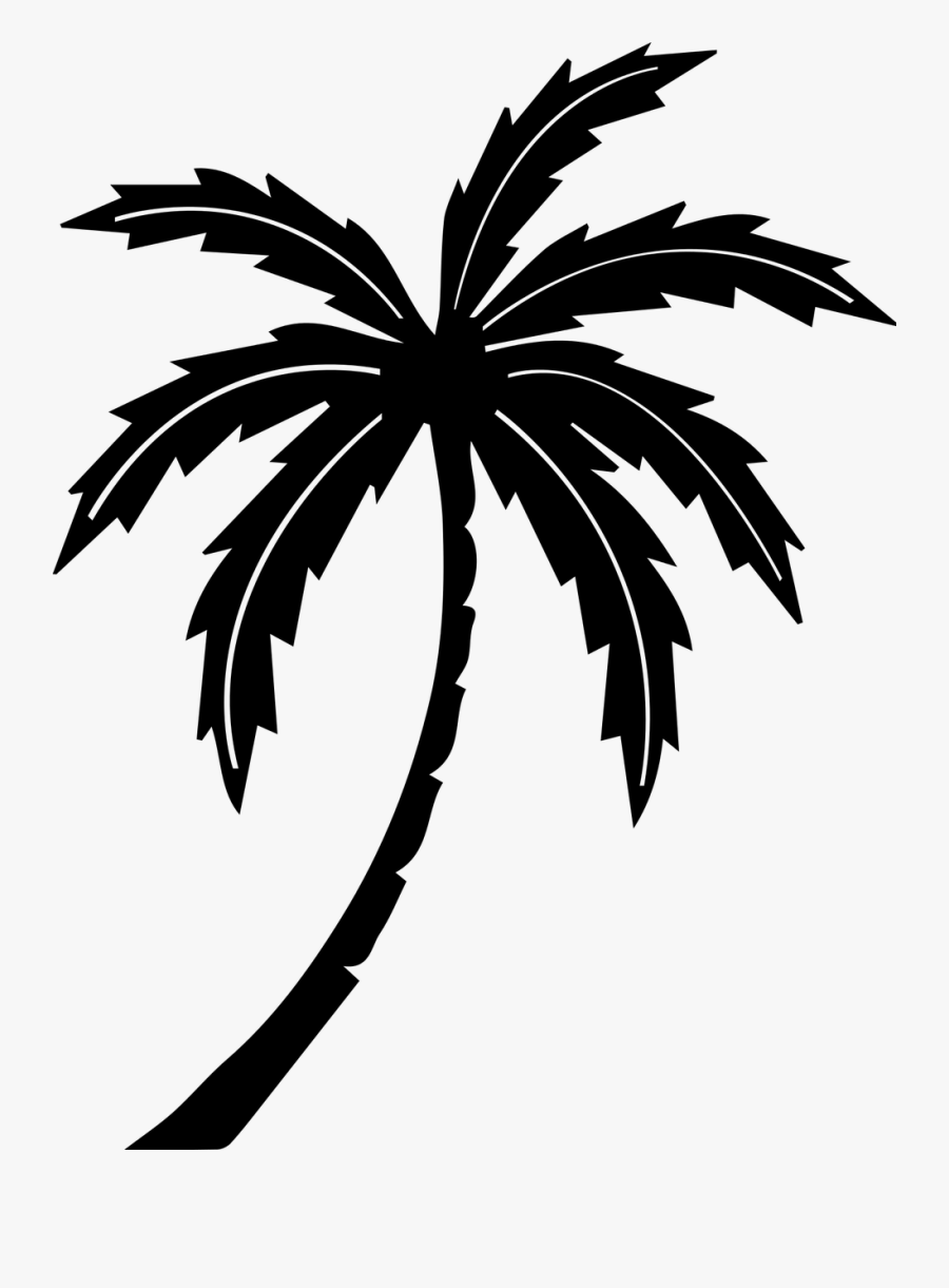 Palm Tree Graphics - Black Palm Tree Png, Transparent Clipart