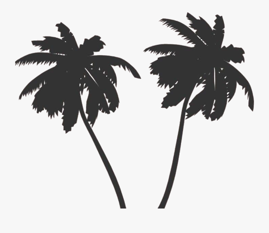 Transparent Tropical Island Clipart Black And White - Palm Tree Vector Png, Transparent Clipart