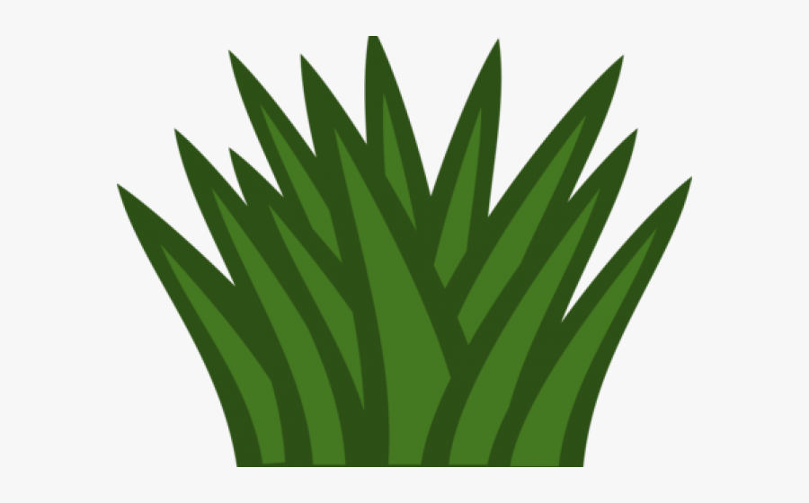 Shrub Bushes Clipart Uses Tree - Clipart Bushes, Transparent Clipart