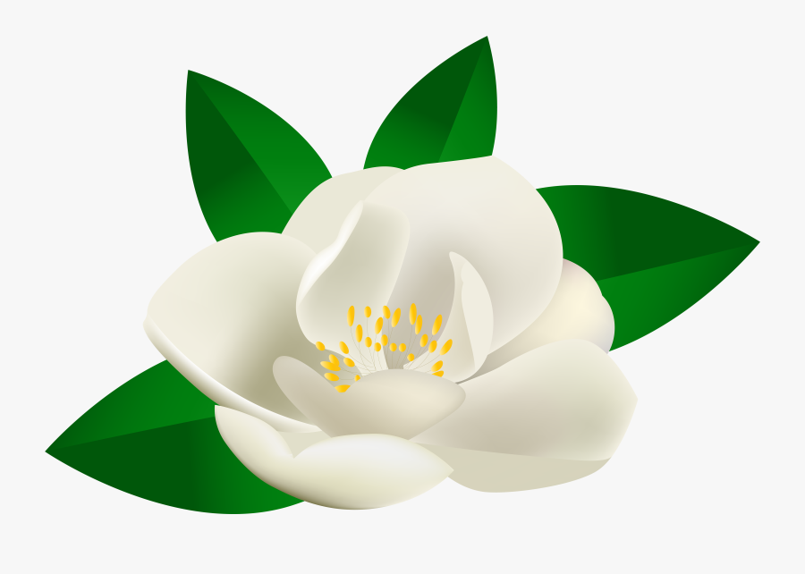 Bush Clipart Transparent Flower - White Rosal Clip Art, Transparent Clipart