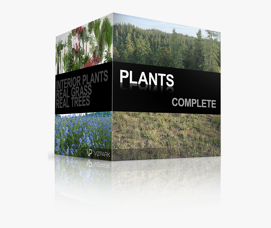 Transparent Arboles Animados Png - Tree, Transparent Clipart