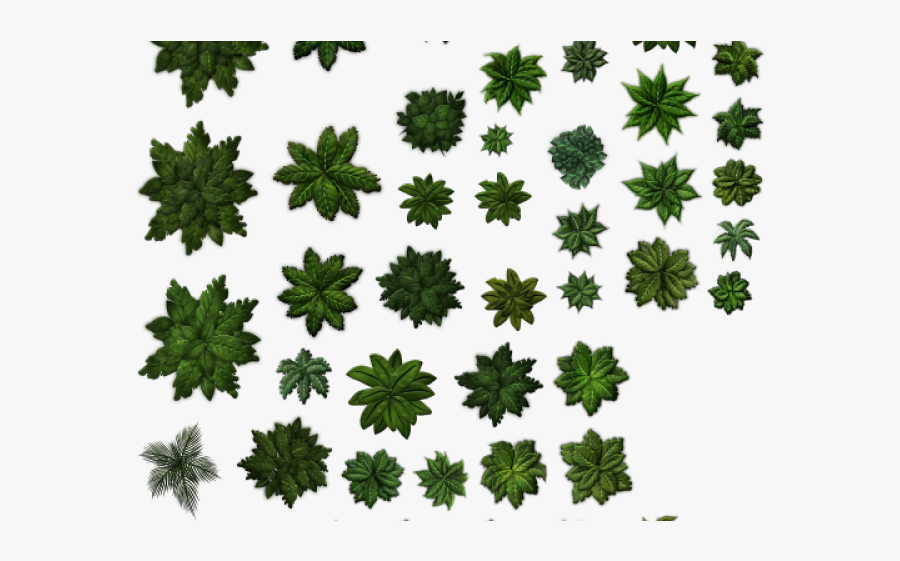 Bushes Clipart Tree Top - Floral Design, Transparent Clipart