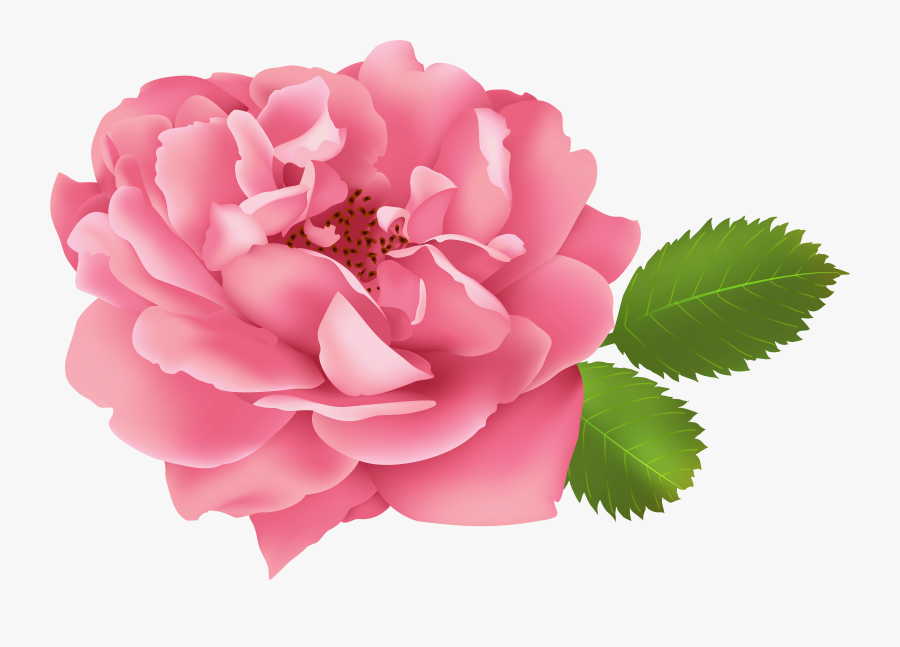 Portable Network Graphics, Transparent Clipart