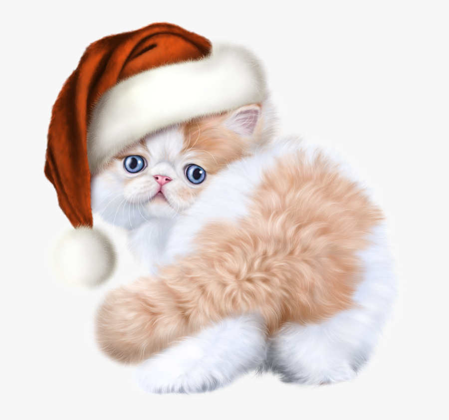 Transparent Kittens Clipart - Png Tube Cat, Transparent Clipart