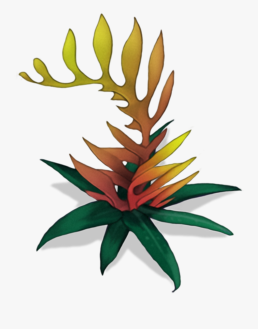 Transparent Bush Png - Firebush Png, Transparent Clipart