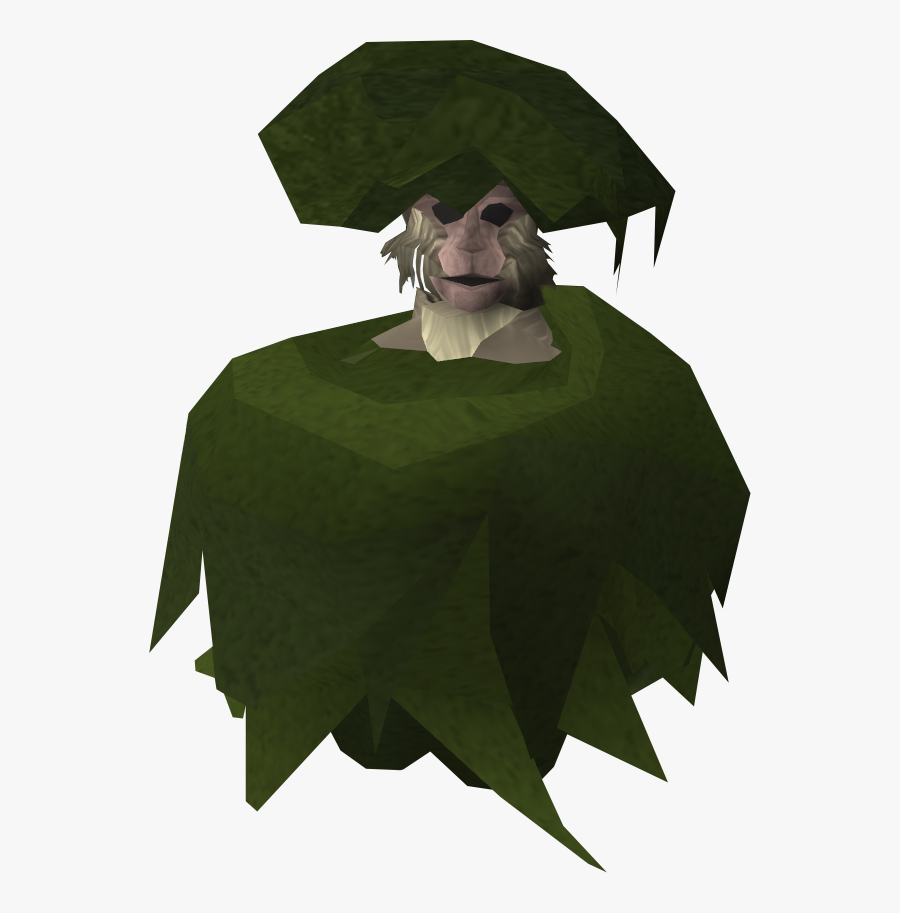 Giant Monkey Puzzle Bushes, Transparent Clipart