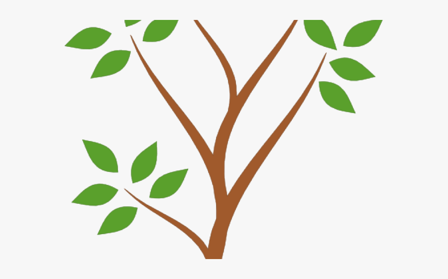 Self Watering Planter Diagram, Transparent Clipart