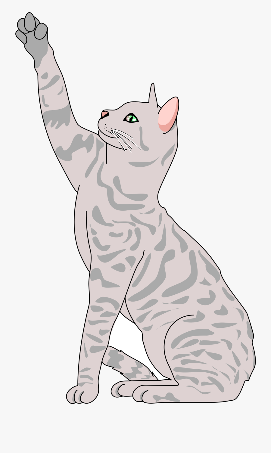 Kittens Clipart Playful - Realistic Cat Clip Art, Transparent Clipart