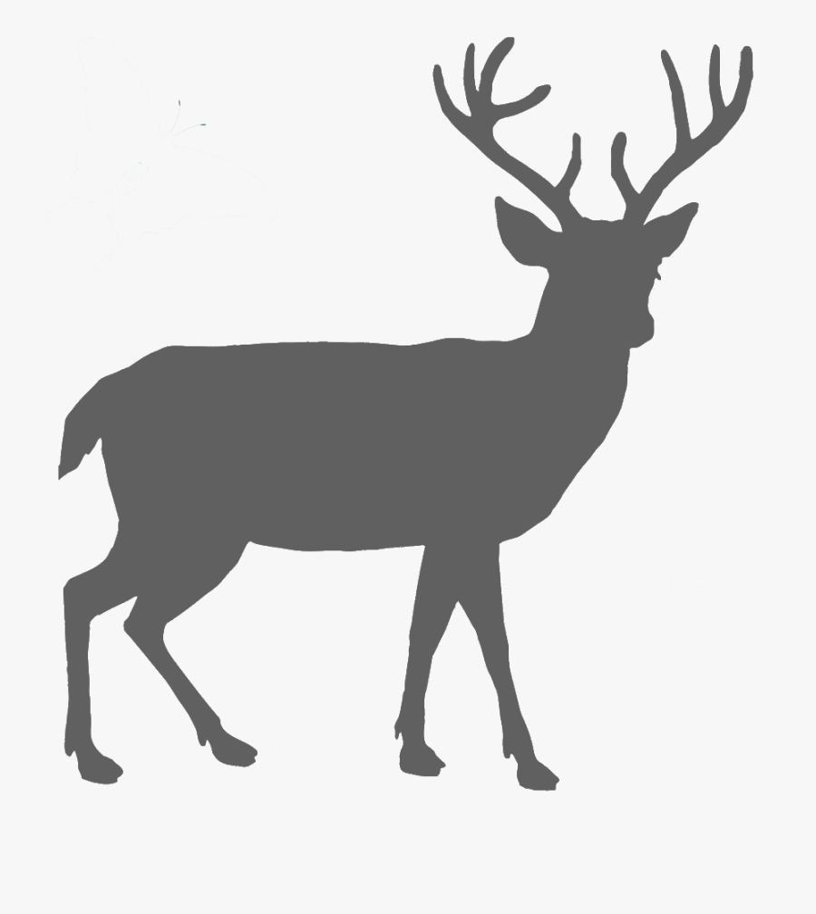 Deer Png Clipart, Transparent Clipart