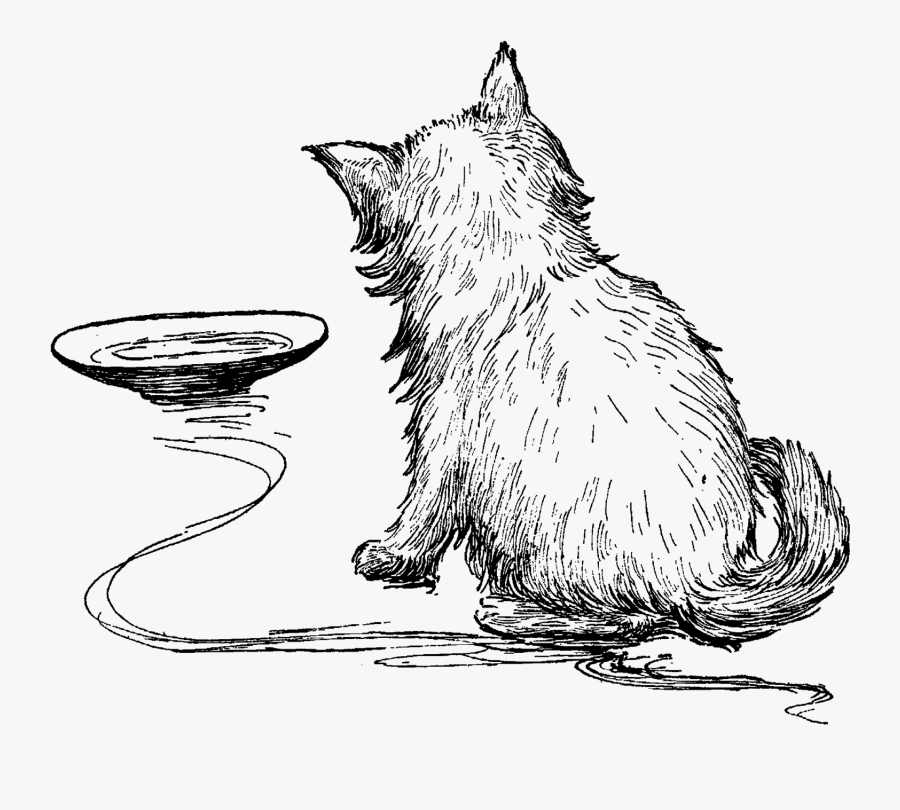 Cat Yawns, Transparent Clipart