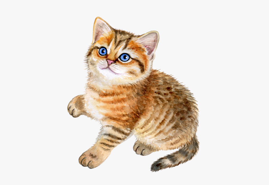 Clipart Freeuse Kittens Clipart Striped Cat - Good Morning Happy Wednesday Cats, Transparent Clipart