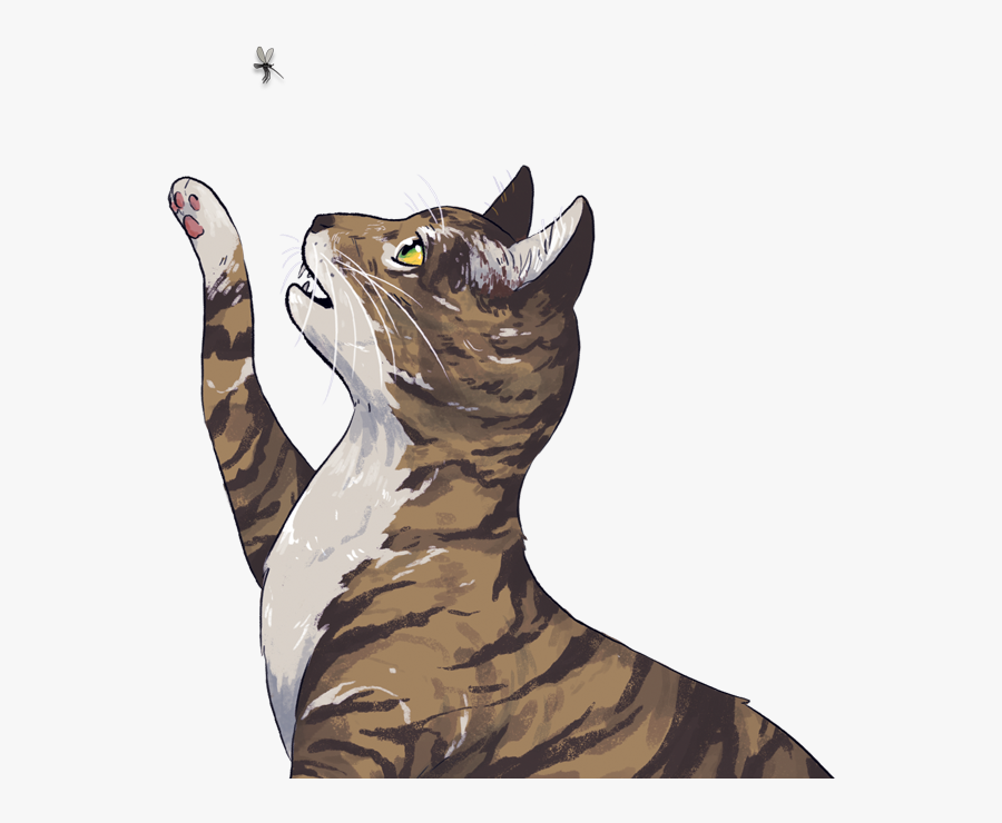 Transparent Rag Doll Clipart - Illustration, Transparent Clipart