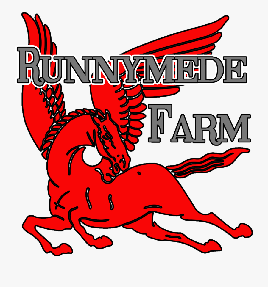 Runnymede Farm Dressage Training - Illustration, Transparent Clipart